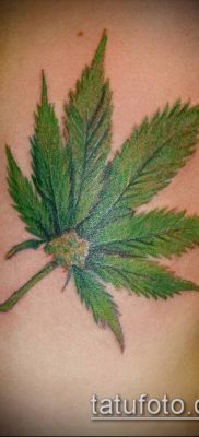 Фото тату марихуанна (Tattoo Marijuana) (значение) — пример рисунка — 069 tatufoto.com