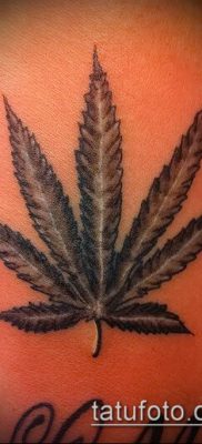 Фото тату марихуанна (Tattoo Marijuana) (значение) — пример рисунка — 070 tatufoto.com