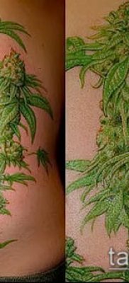 Фото тату марихуанна (Tattoo Marijuana) (значение) — пример рисунка — 073 tatufoto.com
