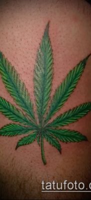 Фото тату марихуанна (Tattoo Marijuana) (значение) — пример рисунка — 074 tatufoto.com