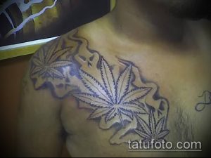 Фотография масштабной татуировки, изображающей несколько листьев конопли на груди и плече мужчины. Рисунок выполнен в черно-белом цвете.