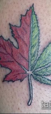 Фото тату марихуанна (Tattoo Marijuana) (значение) — пример рисунка — 082 tatufoto.com