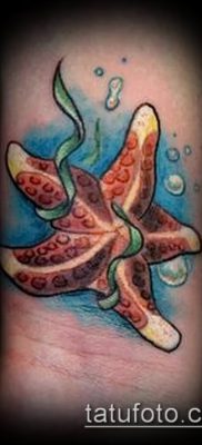Фото тату морская звезда (Tattoo starfish) (значение) — пример рисунка — 001 tatufoto.com