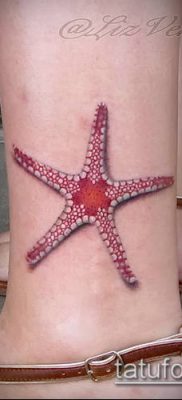 Фото тату морская звезда (Tattoo starfish) (значение) — пример рисунка — 002 tatufoto.com