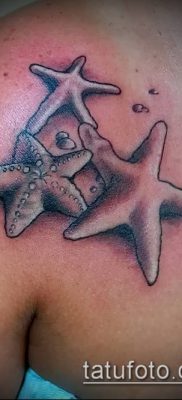 Фото тату морская звезда (Tattoo starfish) (значение) — пример рисунка — 004 tatufoto.com