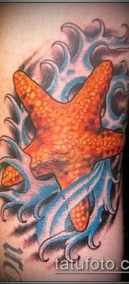 Фото тату морская звезда (Tattoo starfish) (значение) — пример рисунка — 006 tatufoto.com