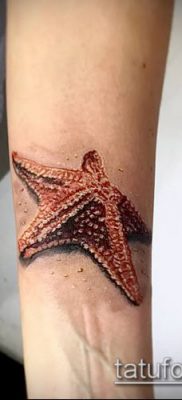 Фото тату морская звезда (Tattoo starfish) (значение) — пример рисунка — 007 tatufoto.com