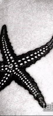 Фото тату морская звезда (Tattoo starfish) (значение) — пример рисунка — 018 tatufoto.com
