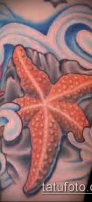 Фото тату морская звезда (Tattoo starfish) (значение) — пример рисунка — 021 tatufoto.com