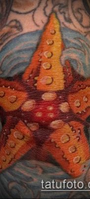 Фото тату морская звезда (Tattoo starfish) (значение) — пример рисунка — 023 tatufoto.com