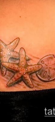 Фото тату морская звезда (Tattoo starfish) (значение) — пример рисунка — 024 tatufoto.com