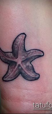 Фото тату морская звезда (Tattoo starfish) (значение) — пример рисунка — 025 tatufoto.com