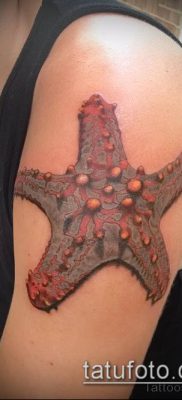 Фото тату морская звезда (Tattoo starfish) (значение) — пример рисунка — 027 tatufoto.com