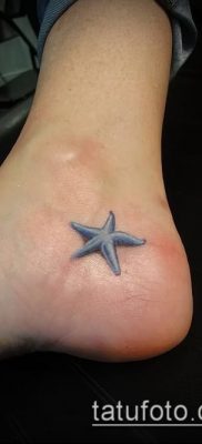Фото тату морская звезда (Tattoo starfish) (значение) — пример рисунка — 028 tatufoto.com