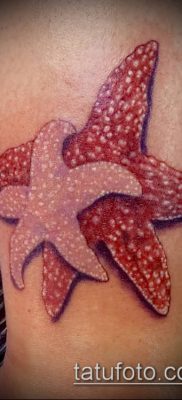 Фото тату морская звезда (Tattoo starfish) (значение) — пример рисунка — 036 tatufoto.com