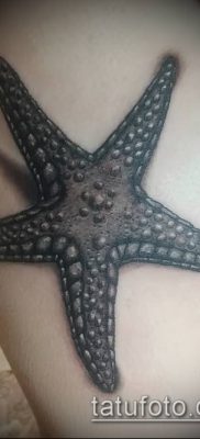 Фото тату морская звезда (Tattoo starfish) (значение) — пример рисунка — 039 tatufoto.com