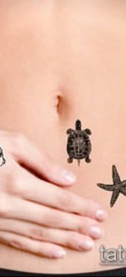 Фото тату морская звезда (Tattoo starfish) (значение) — пример рисунка — 040 tatufoto.com