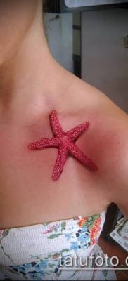 Фото тату морская звезда (Tattoo starfish) (значение) — пример рисунка — 042 tatufoto.com