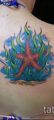 Фото тату морская звезда (Tattoo starfish) (значение) — пример рисунка — 046 tatufoto.com