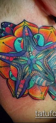 Фото тату морская звезда (Tattoo starfish) (значение) — пример рисунка — 049 tatufoto.com