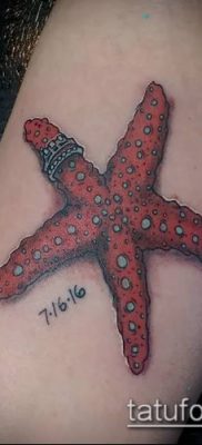 Фото тату морская звезда (Tattoo starfish) (значение) — пример рисунка — 052 tatufoto.com