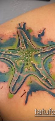 Фото тату морская звезда (Tattoo starfish) (значение) — пример рисунка — 058 tatufoto.com