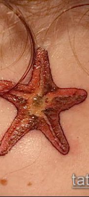 Фото тату морская звезда (Tattoo starfish) (значение) — пример рисунка — 062 tatufoto.com
