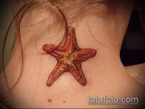Фото женской татуировки морской звезды на шее. Рисунок выполнен в мягких красных и коричневых тонах, с деликатной проработкой деталей.