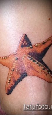 Фото тату морская звезда (Tattoo starfish) (значение) — пример рисунка — 063 tatufoto.com