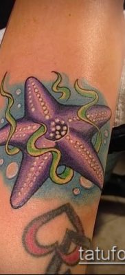 Фото тату морская звезда (Tattoo starfish) (значение) — пример рисунка — 068 tatufoto.com