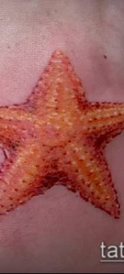 Фото тату морская звезда (Tattoo starfish) (значение) — пример рисунка — 070 tatufoto.com