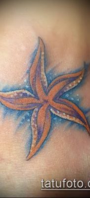 Фото тату морская звезда (Tattoo starfish) (значение) — пример рисунка — 078 tatufoto.com