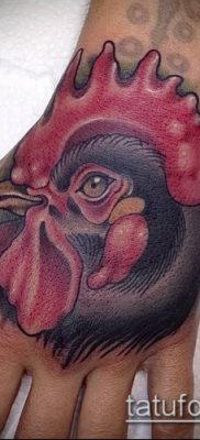 Фото тату петух (Tattoo cock) (значение) — пример рисунка — 016 tatufoto.com