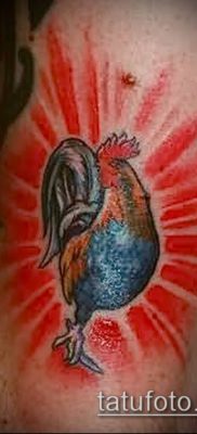 Фото тату петух (Tattoo cock) (значение) — пример рисунка — 035 tatufoto.com