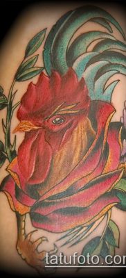 Фото тату петух (Tattoo cock) (значение) — пример рисунка — 049 tatufoto.com
