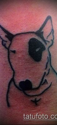 Фото тату бультерьер — 18052017 — пример — 001 Bull terrier tattoo