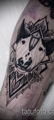Фото тату бультерьер — 18052017 — пример — 003 Bull terrier tattoo 234234