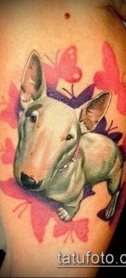 Фото тату бультерьер — 18052017 — пример — 007 Bull terrier tattoo
