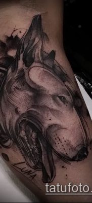 Фото тату бультерьер — 18052017 — пример — 009 Bull terrier tattoo