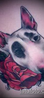 Фото тату бультерьер — 18052017 — пример — 010 Bull terrier tattoo