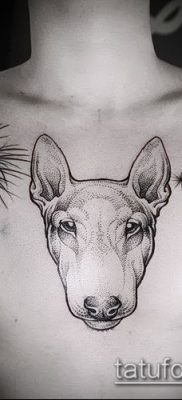 Фото тату бультерьер — 18052017 — пример — 011 Bull terrier tattoo