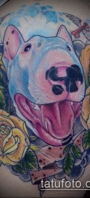 Фото тату бультерьер — 18052017 — пример — 013 Bull terrier tattoo