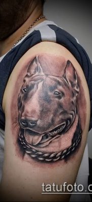 Фото тату бультерьер — 18052017 — пример — 015 Bull terrier tattoo