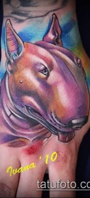 Фото тату бультерьер — 18052017 — пример — 018 Bull terrier tattoo