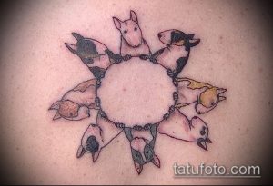 Фото круговой татуировки с изображением нескольких бультерьеров на спине, выполненной в графическом стиле. Необычный и оригинальный дизайн.