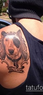 Фото тату бультерьер — 18052017 — пример — 021 Bull terrier tattoo