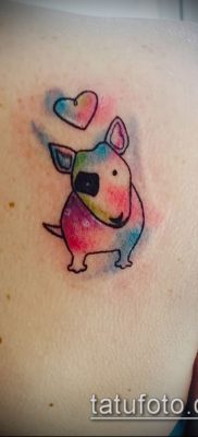Фото тату бультерьер — 18052017 — пример — 022 Bull terrier tattoo