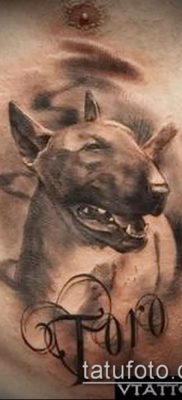 Фото тату бультерьер — 18052017 — пример — 023 Bull terrier tattoo