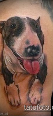 Фото тату бультерьер — 18052017 — пример — 026 Bull terrier tattoo