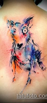Фото тату бультерьер — 18052017 — пример — 035 Bull terrier tattoo